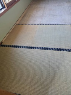 thumbnail_1000000285