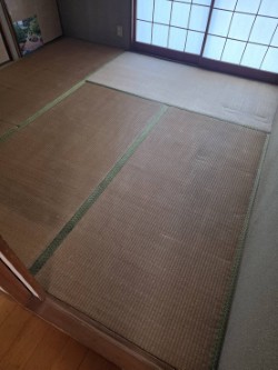 thumbnail_1000000290