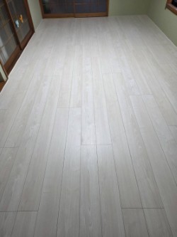 thumbnail_1000000293